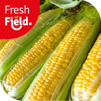 Sweet Corn