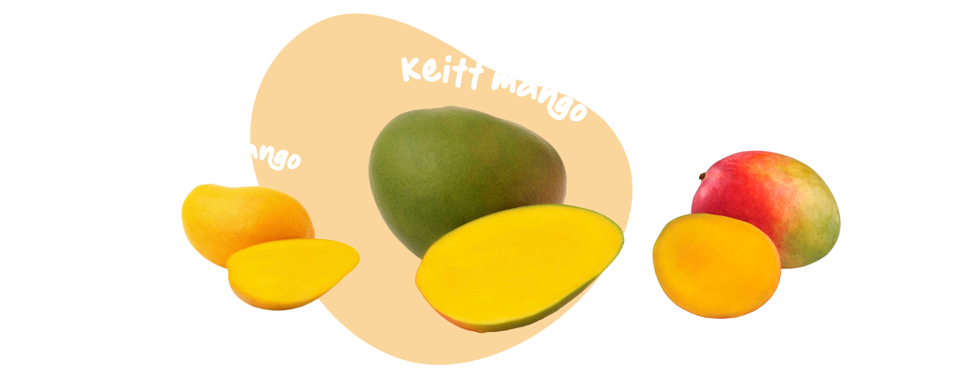 Img Tamaños de mango