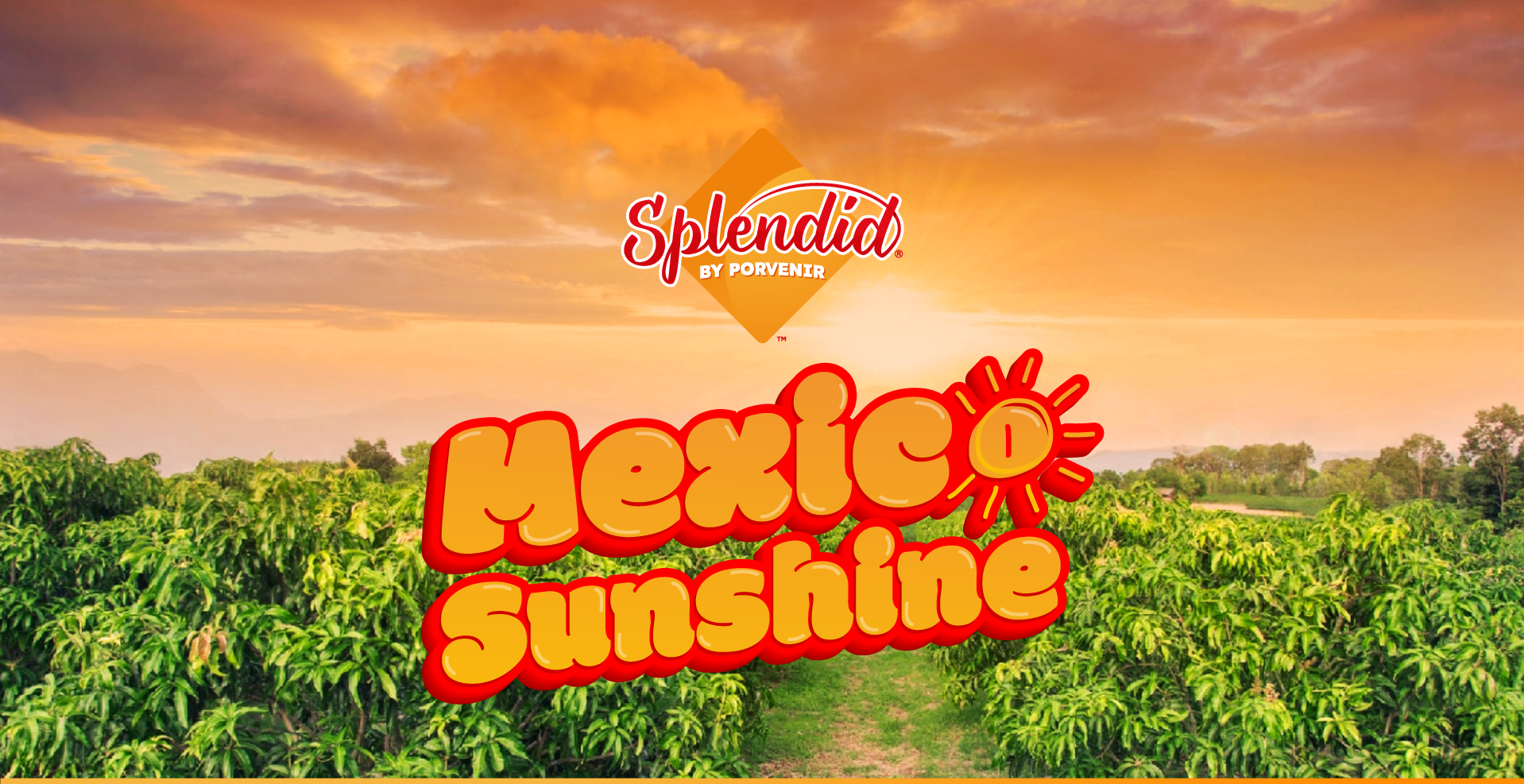 México Sunshine